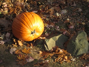 Thanksgiving Pumpkin